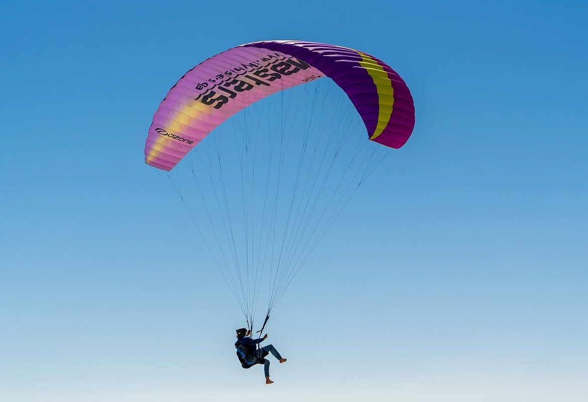 A wing over the dunes